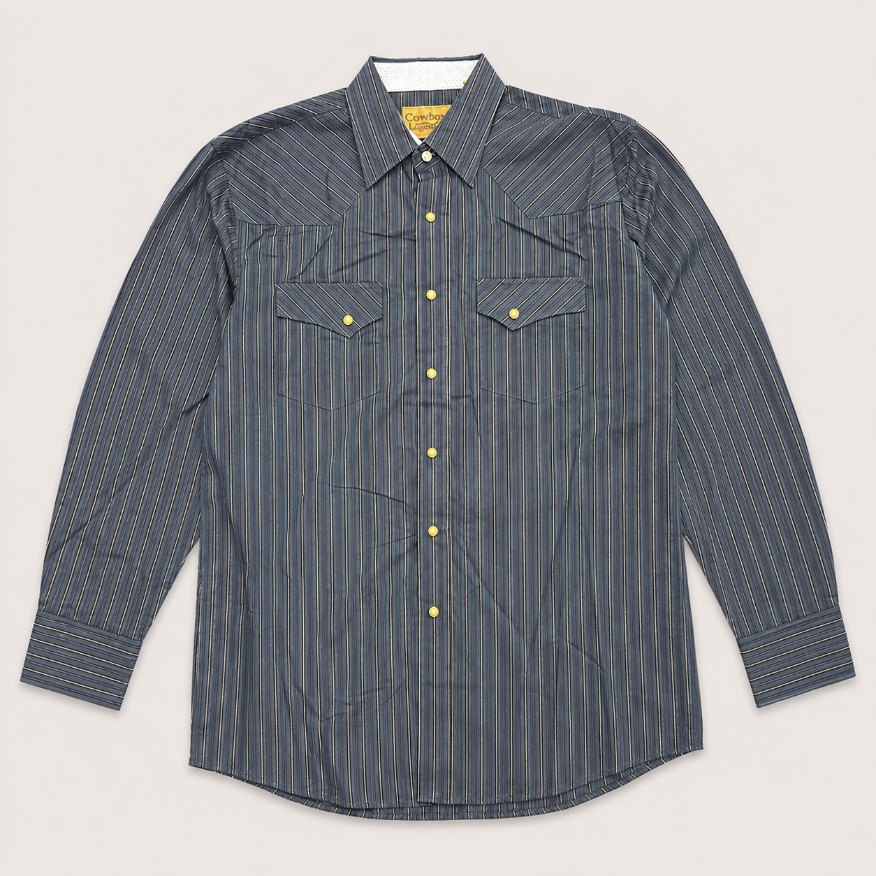 Cowboy Legend Men's Blue Stripe Pearl Snap Western Shirt