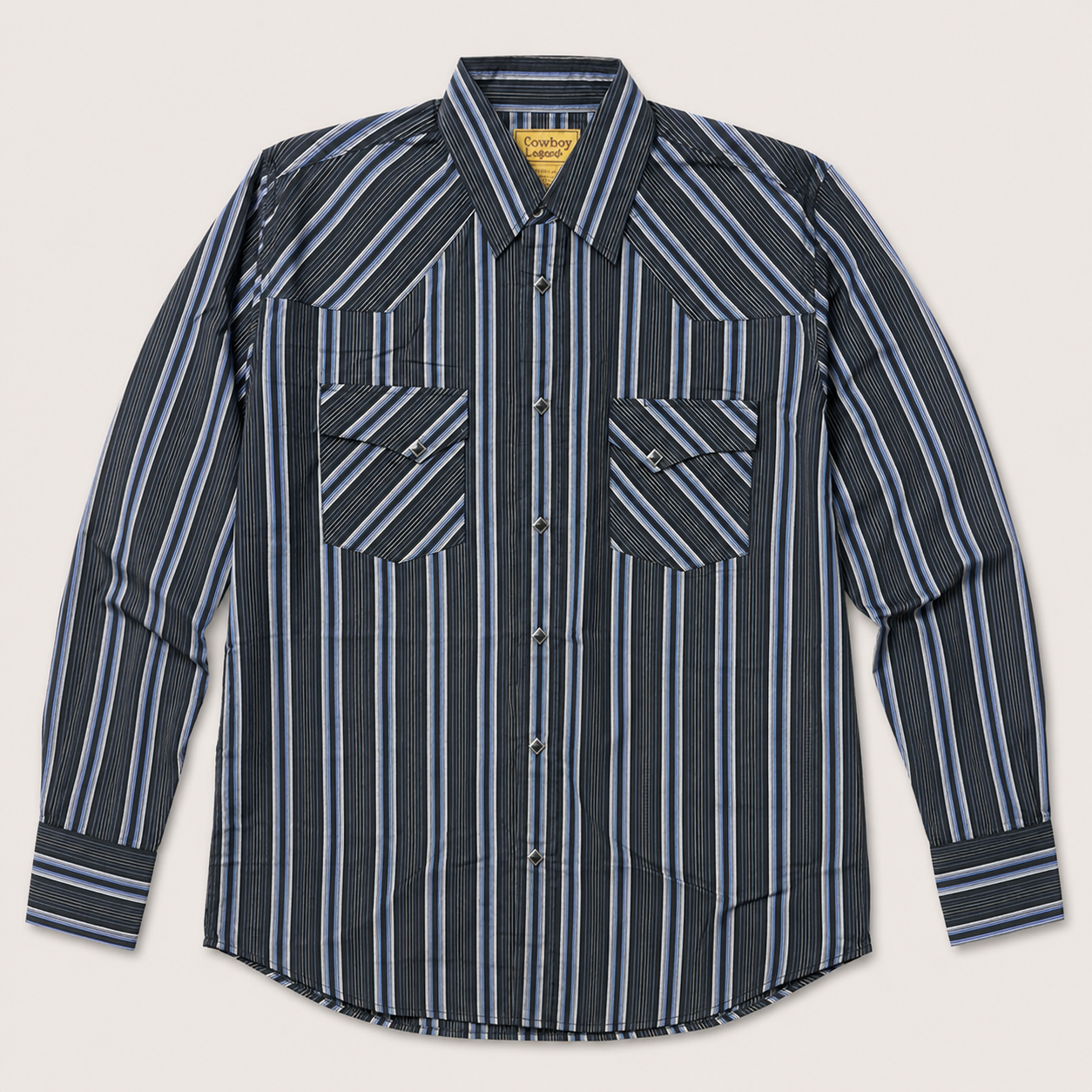 Men's Black & Blue Stripe Long Sleeve Western Snap Shirt