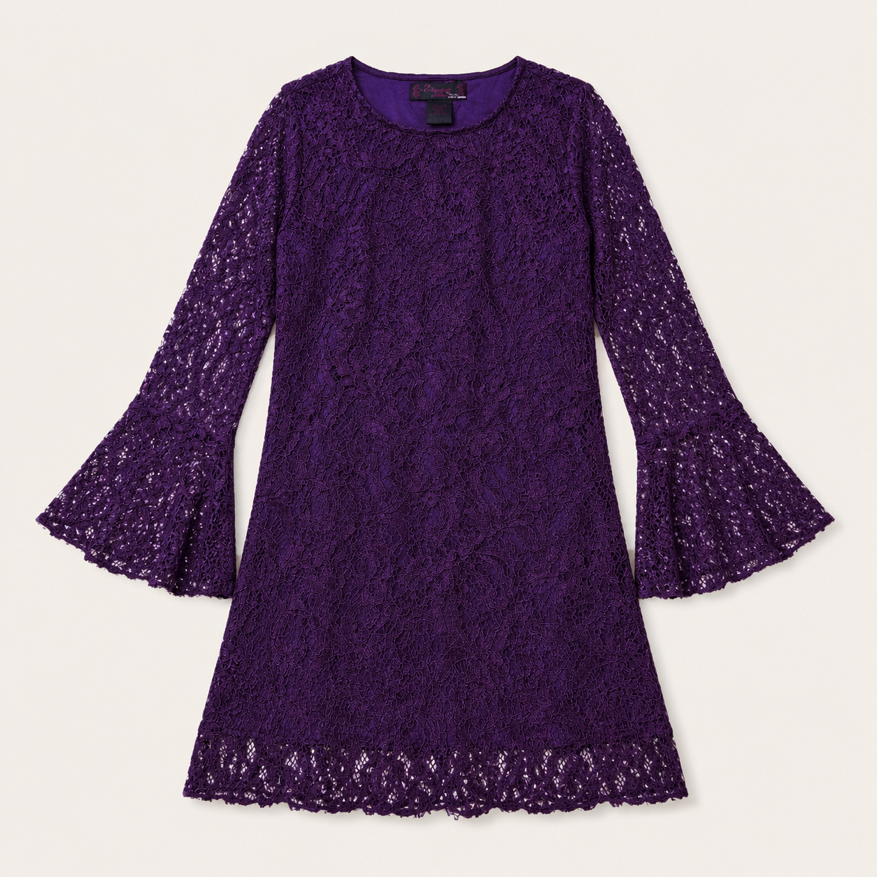 Crochet Lace Bell Sleeve Dress Back View