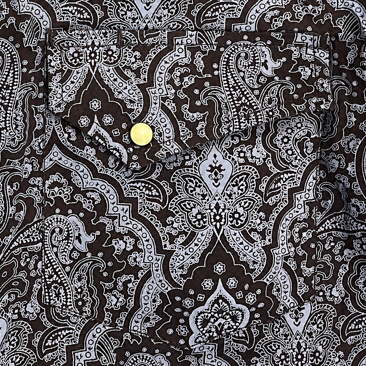 Cowboy Legend Men's Midnight Paisley Western Shirt