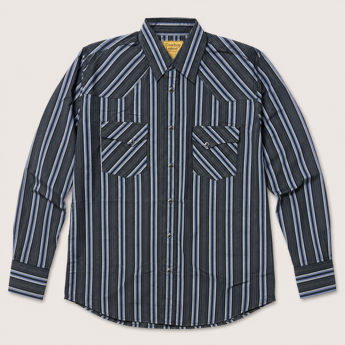 Men's Dark Striped Western Snap Shirt Front View